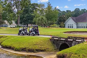 4566 Painted Fern Ct, Murrells Inlet, SC 29576 - Photo 34