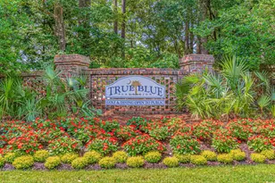 412 Pinehurst Ln, Pawleys Island, SC 29585 - Photo 34