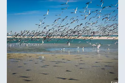 83 Grackle Ln., Pawleys Island, SC 29585 - Photo 40