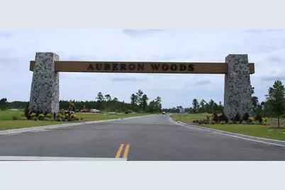 8023 Bear Claw Way, Conway, SC 29526 - Photo 28