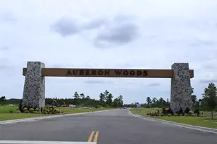 8023 Bear Claw Wy, Conway, SC 29526 - Photo 28