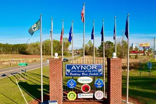 168 Rosedale Dr, Aynor, SC 29511 - Photo 38