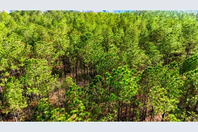 Acreage Highway 45, Loris, SC 29569 - Photo 14