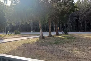 2302 S Hwy 41A, Marion, SC 29571 - Photo 4