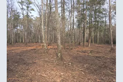 Tbd Bella Rd., Myrtle Beach, SC 29588 - Photo 4