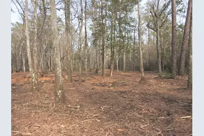 Tbd Bella Rd., Myrtle Beach, SC 29588 - Photo 6
