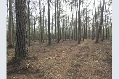 Tbd Bella Rd., Myrtle Beach, SC 29588 - Photo 10