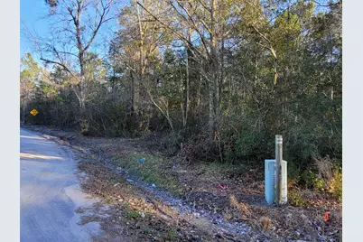 Tbd Lot 3 Auburn Rd., Loris, SC 29569 - Photo 8