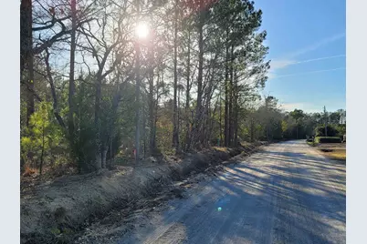 Tbd Log Cabin Rd., Loris, SC 29569 - Photo 4