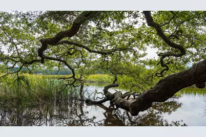 500 Blissful Dr, Little River, SC 29566 - Photo 32