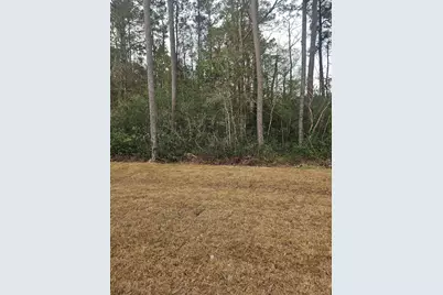 1216 Mill Banks Dr., Longs, SC 29568 - Photo 28