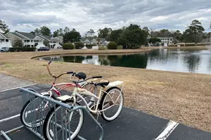 987 Blue Stem Dr, Pawleys Island, SC 29585 - Photo 22