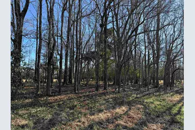 10686 Scott Ave, Manning, SC 29102 - Photo 6