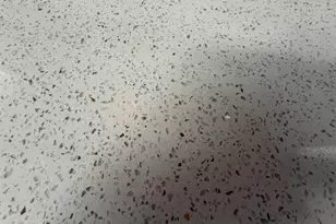 607 Geddings Dr, Myrtle Beach, SC 29588 - Photo 8