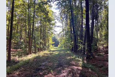 Tbd Highway 701 South, Georgetown, SC 29440 - Photo 4