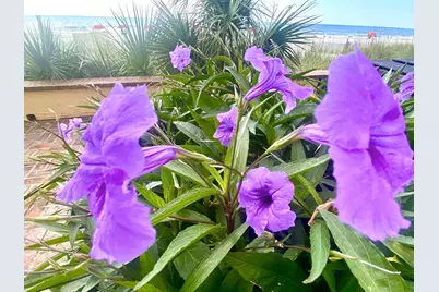 1207 S Ocean Blvd. #20809, Myrtle Beach, SC 29577 - Photo 24