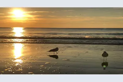 1207 S Ocean Blvd. #20809, Myrtle Beach, SC 29577 - Photo 16