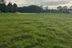 Tbd Lexyryan Ct, Latta, SC 29565 - Photo 1