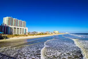 3020 Berry Bush Way, Conway, SC 29526 - Photo 36