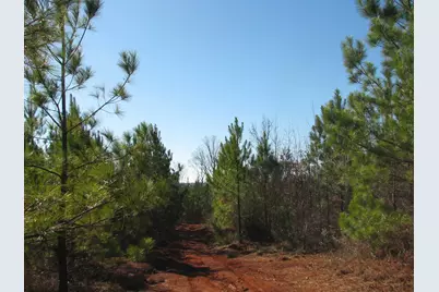 0 Buckhead Rd., Blair, SC 29015 - Photo 28