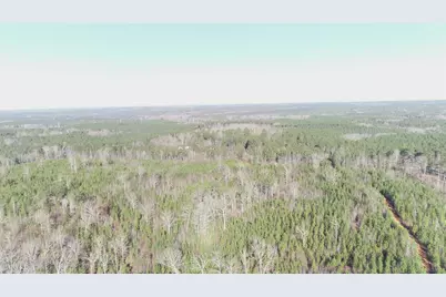 0 Buckhead Rd., Blair, SC 29015 - Photo 12