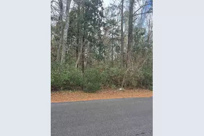 Lot 3 Third Ave., Georgetown, SC 29440 - Photo 1