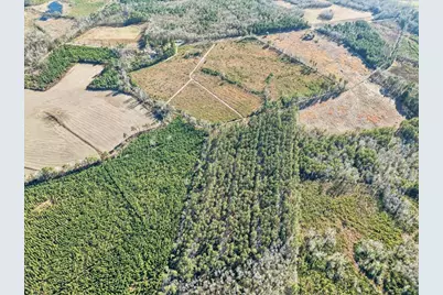 Tbd Witherspoon Rd., Kingstree, SC 29556 - Photo 8