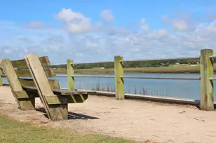 310 Ridley St, Longs, SC 29568 - Photo 38