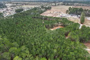 1930 W Homewood Rd, Conway, SC 29526 - Photo 34