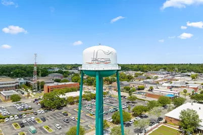 4111 Collins Farm Way, Conway, SC 29526 - Photo 10