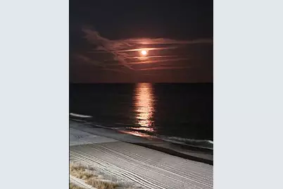 1605 S Ocean Blvd. #504, Myrtle Beach, SC 29577 - Photo 36