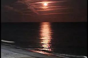 1605 S Ocean Blvd, Myrtle Beach, SC 29577 - Photo 36