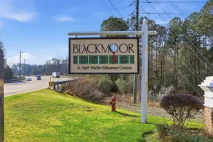 5810 Longwood Dr, Murrells Inlet, SC 29576 - Photo 28