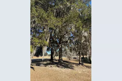 437 Rosebank Rd., Georgetown, SC 29440 - Photo 2