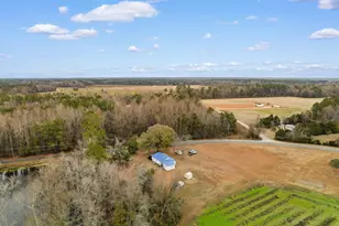 420 Old McCutcheon Rd, Coward, SC 29530 - Photo 38