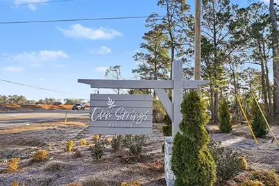 235 Hadley Springs Ave, Longs, SC 29568 - Photo 26