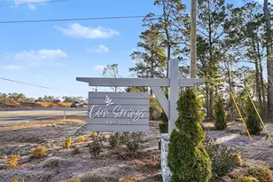 235 Hadley Spgs Ave, Longs, SC 29568 - Photo 26