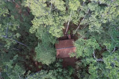 Tbd Old Georgetown Hwy., Andrews, SC 29510 - Photo 6