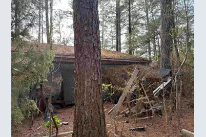 Tbd Old Georgetown Hwy., Andrews, SC 29510 - Photo 10