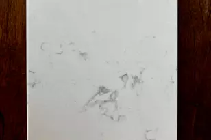 370 3 Curve Rd, Loris, SC 29569 - Photo 8