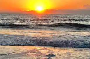 81 Delray Dr, Murrells Inlet, SC 29576 - Photo 40