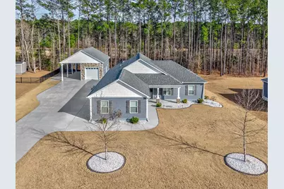 226 Penn Circle, Galivants Ferry, SC 29544 - Photo 42