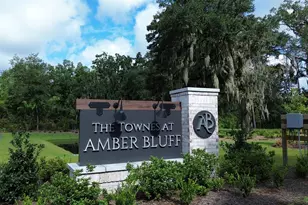 409 Gemstone Blvd, Conway, SC 29526 - Photo 26