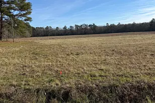 Lot 4 Johnson Shelley Rd, Conway, SC 29526 - Photo 1