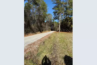 Lot 5 Johnson Shelley Rd., Conway, SC 29526 - Photo 6