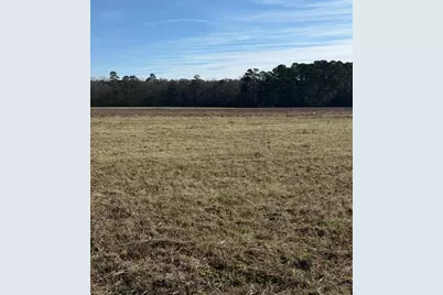 Lot 6 Johnson Shelley Rd., Conway, SC 29526 - Photo 4