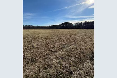 Lot 6 Johnson Shelley Rd., Conway, SC 29526 - Photo 8