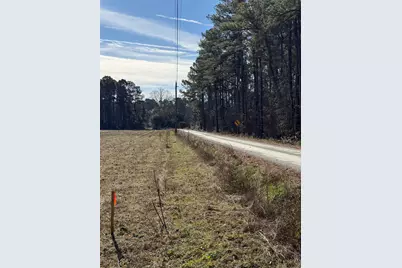 Lot 7 Johnson Shelley Rd., Conway, SC 29526 - Photo 2