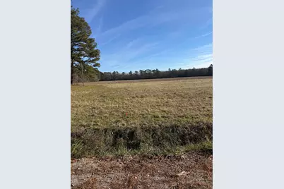 Lot 8 Johnson Shelley Rd., Conway, SC 29526 - Photo 1