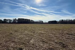 Tract 2 Hwy 668, Conway, SC 29526 - Photo 6